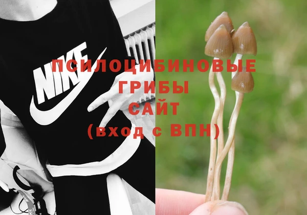 крисы Белокуриха