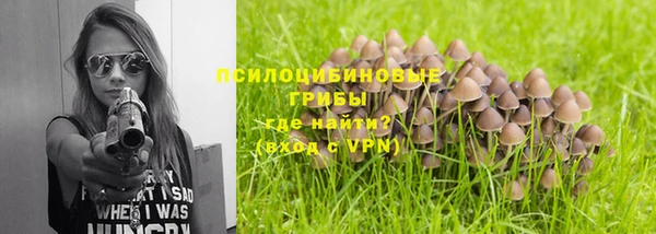 крисы Белокуриха