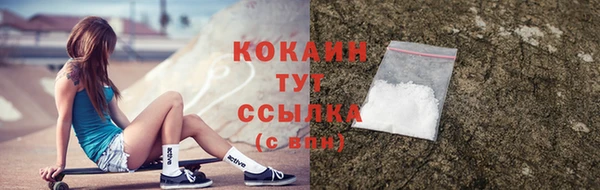 крисы Белокуриха